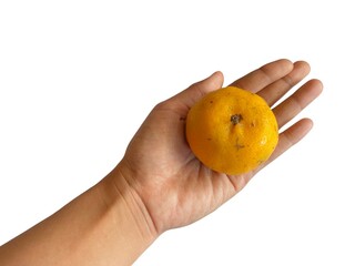 A hand holding a fresh and juicy orange, perfect for summer designs. There is a plain background...