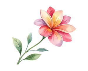 Manual composition of vivid color watercolor flowers hand painted for vibrant artistic floral decor, perfect for covers, posters, and wedding stationery