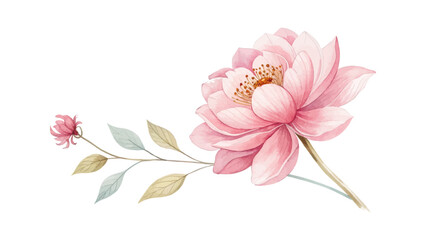 Beautiful pink and green watercolor flower arrangement with elegant wedding floral accents on white background for decorative and romantic digital art