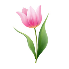 Naklejka premium A pink tulip with green leaves, showcasing its delicate petals and elegant form. transparent background