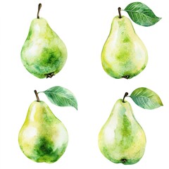Watercolor Illustration Of Four Green Pears