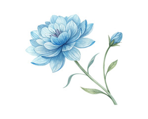 Watercolor flowers in soft teal tones isolated on transparent background, perfect for wedding decor, cards, seasonal floral designs, and modern digital artwork
