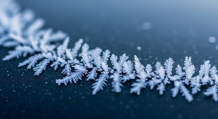 Stunning Close-Up of Delicate Frost Crystals Forming a Unique Pattern on a Dark Surface