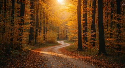 Winding dirt road through a dense autumn forest with golden leaves and sunlight