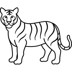 A Tiger Line Art on White Background