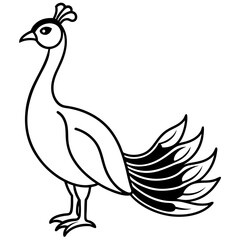 A Peacock Line Art on White Background