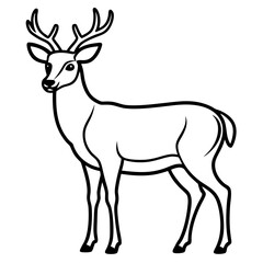 A Deer Line Art on White Background