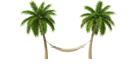 Isolated Hammock Strung Between Two Palm Trees