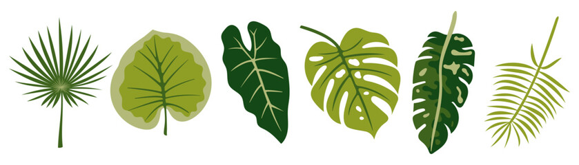 Green Tropical Leaves Collection. Jungle Botanical Foliage Flat Design, Exotic Plant Elements, Palm and Monstera Leaf Shapes, Nature Illustration, Minimal Style Decorative Flora Icons Set