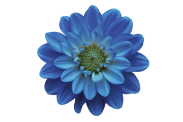 Ultra-Detailed Flower Photography Blue Dahlia with Green Center PNG.