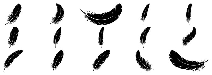 Black fluffy feather. Hand drawing vintage art realistic quill feathers for pen detailed isolated vector elegant silhouette sketch bird plume set