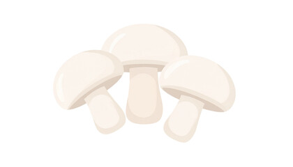 three mushrooms isolated on transparent background