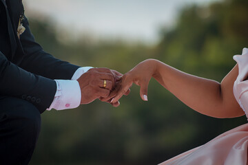 Pedida de mano, boda amor de parejas 