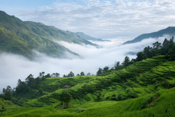 Fototapeta premium breathtaking view of rice terraces in indonesia under dramatic storm clouds framed by natural curves
