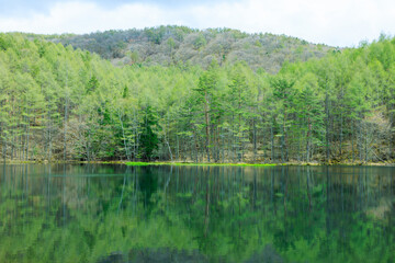初夏の御射鹿池　長野県茅野市　Mishaka Pond in early summer. Nagano Pref, Chino City.