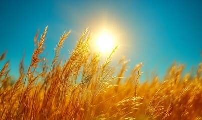 Fototapeta premium Art autumn sunny nature background