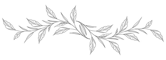 Line art vector sketch of a leaf. Vector eps