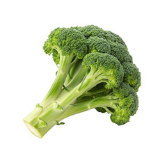 Fresh broccoli floret isolated on transparent background