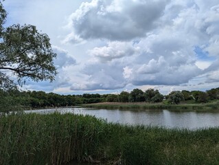 Landscape from the shore to the lake. A bright day, when the sky is full of clouds, we look at a suburban lake. It is overgrown with reeds, trees and bushes along the edge of the shore