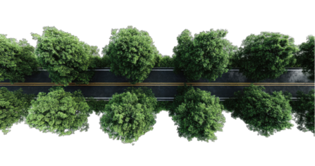 Aerial view of a road lined with trees