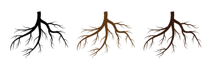 Tree root vector silhouette icon set. Set of tree roots. root of the tree icon. Vector illustration in eps 10.	