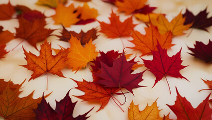 Fototapeta premium Crisp autumn leaves captured in detail, set against a warm, out-of-focus background