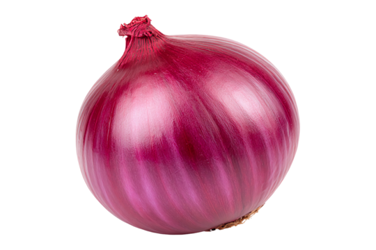 Fresh whole red onion isolated on transparent background.