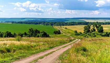 Idyllic countryside scenery featuring dirt road leading into a distant horizon