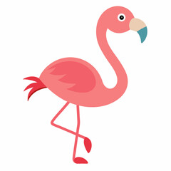 flamingo vector illustration