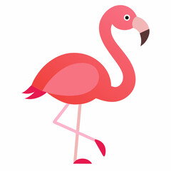 pink flamingo vector