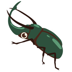 atlas beetle illustration