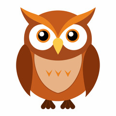 owl on white background