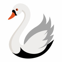 black swan vector