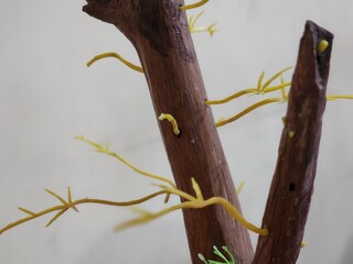an artificial plant made of plastic and rubber