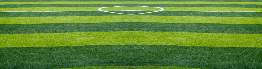 Freshly Cut Green Grass with Diagonal Lines © Roberto Sorin