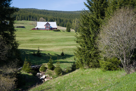 Red Cabin in Czech Mountain Forest - Horni Mala Upa