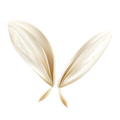 Elegant minimalist flower petals forming a butterfly shape on black background