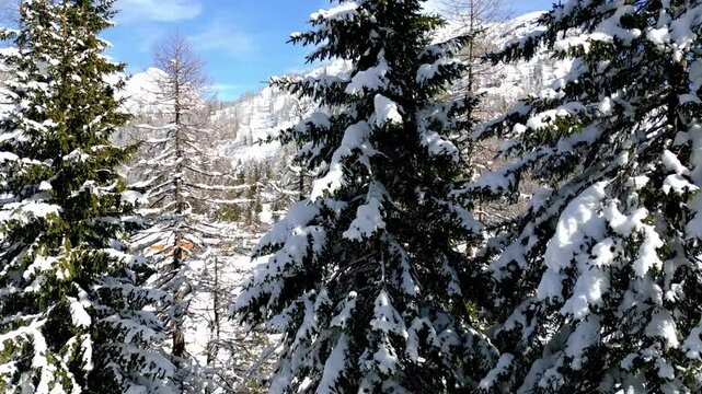 Winter and snow at Passo Pramollo. On the border between Italy and Austria