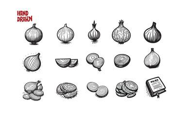 Hand-drawn vegetable doodles onion set