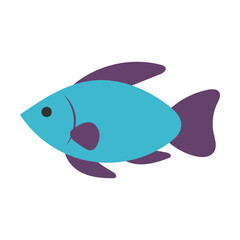 Fish Flat Illustration