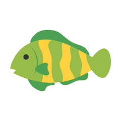 Fish Flat Illustration