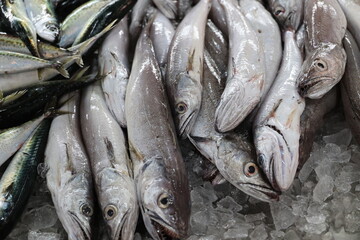 Fresh fish close up at the fish market in Loulé, Portugal  