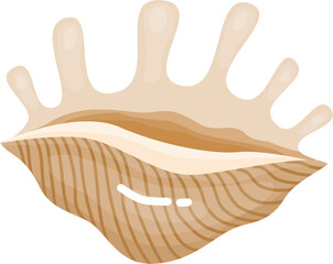 Seashell cartoon