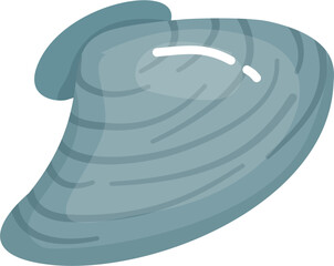 Clam Seashell illustration