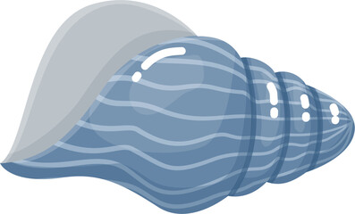 Blue Seashell illustration