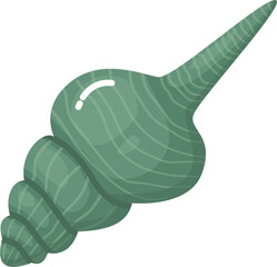 Spiral Seashell illustration