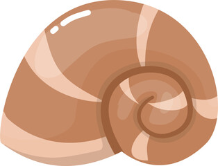 Brown Seashell illustration