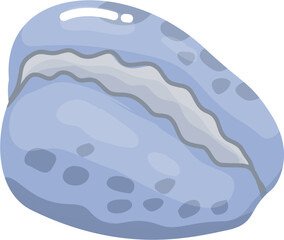 Blue Seashell illustration