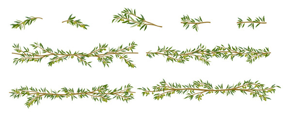 Olive branches, decorative lines, and frames with leaves. Elegant botanical elements perfect for wedding invitations, product packaging, branding, logos, and Mediterranean-themed designs.