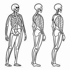 vector illustration of a young man